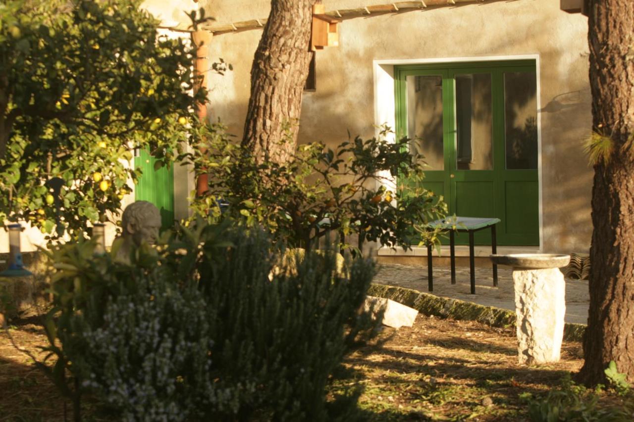 B&B Manca1Fiorino Buseto Palizzolo Exterior photo